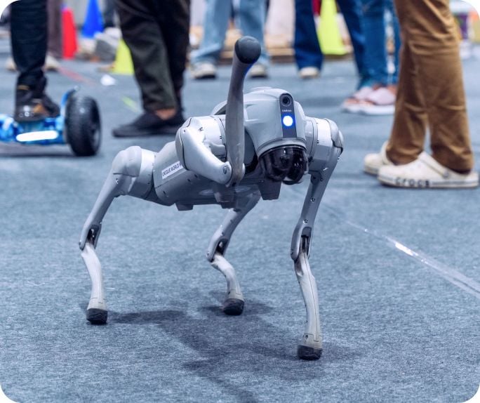 First Edition Moments image